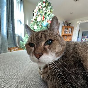 Meet your Posher, Jayme